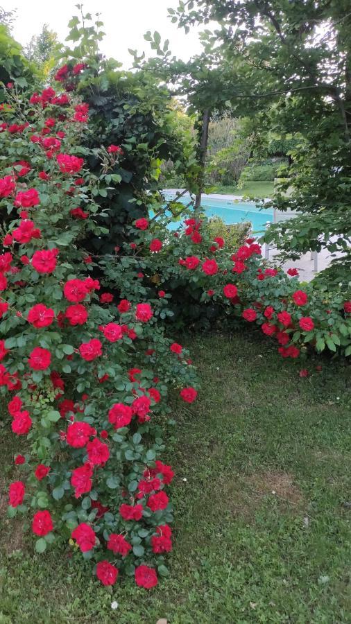 B&B Villa Valchero Carpaneto Piacentino エクステリア 写真